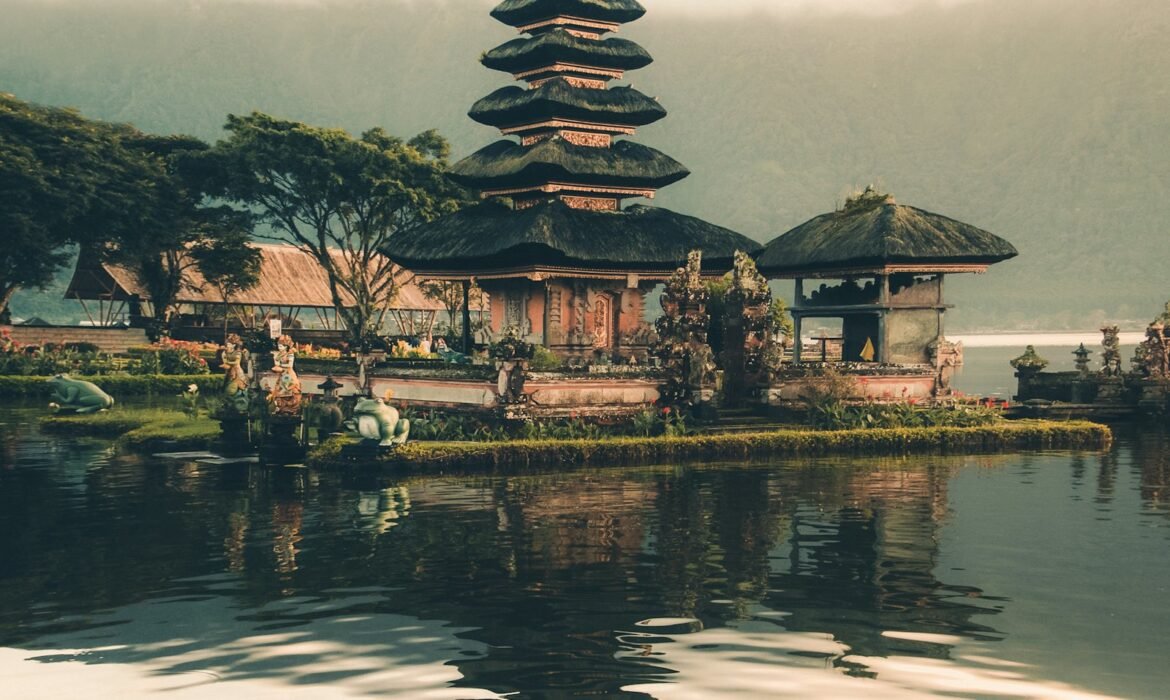 Bali rice terraces