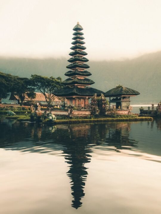 Bali rice terraces